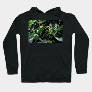 Holly Leaves Hoodie